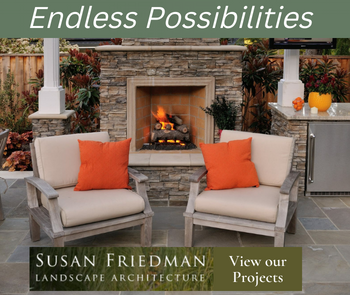 Susan Friedman Landscape