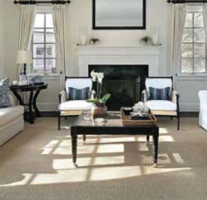 Dream Weaver PureSoft Cashmere Carpet
