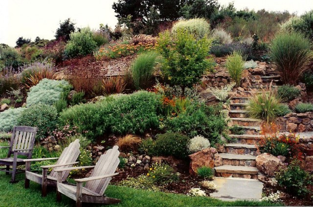 landscape design, landscape design