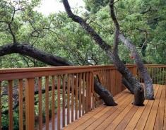 Redwood Decking