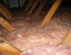 Attic Crew Insulation, rodent proofing & control